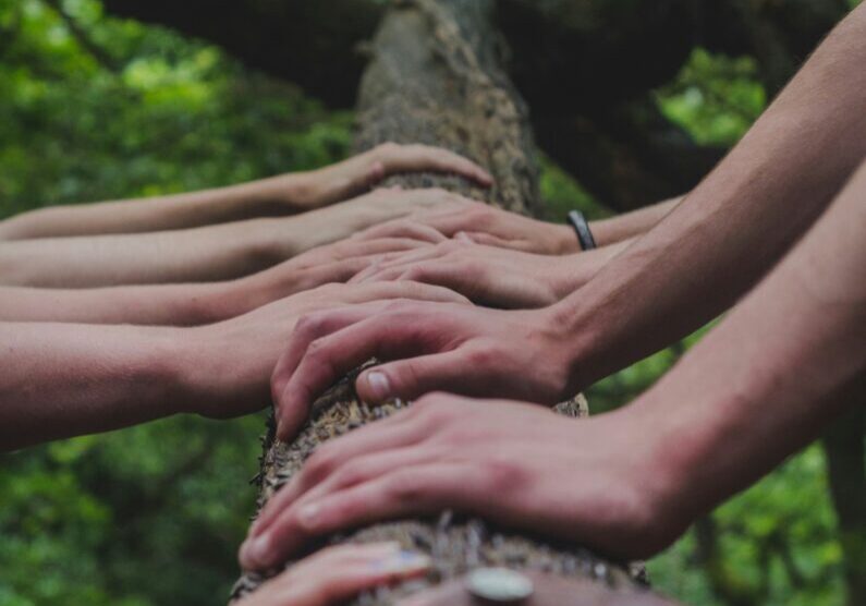 shane-rounce-DNkoNXQti3c-unsplash